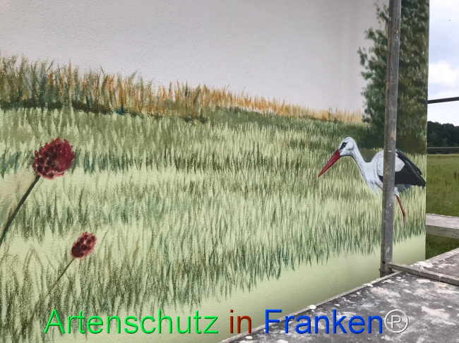 © Artenschutz in Franken® Bild zum Eintrag (1108541-160)