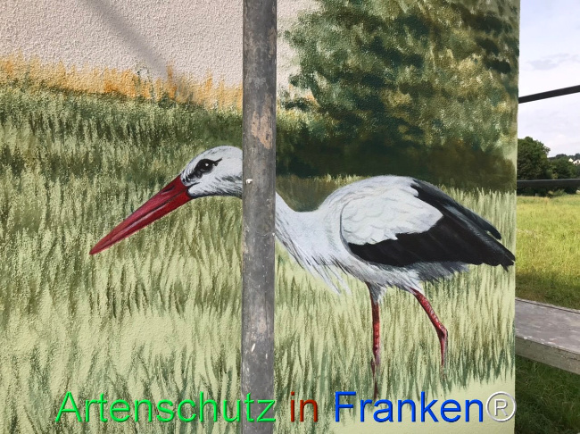 © Artenschutz in Franken® Bild zum Eintrag (1108543-160)