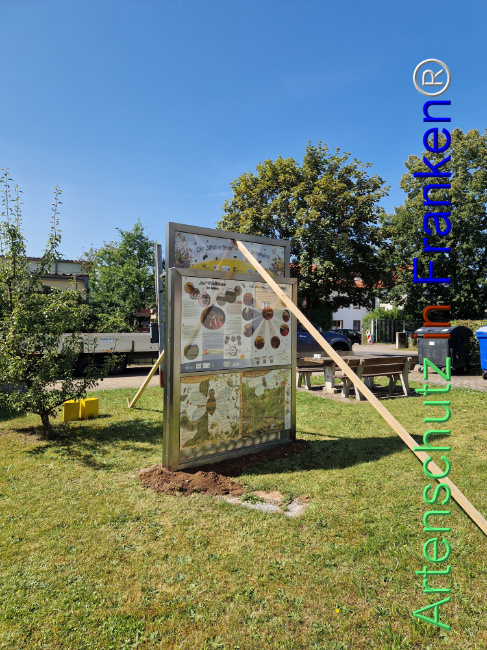 © Artenschutz in Franken® Bild zum Eintrag (1108654-160)