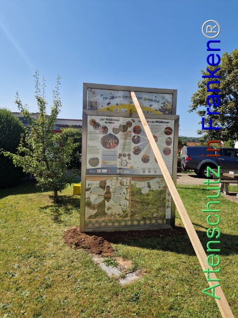 © Artenschutz in Franken® Bild zum Eintrag (1108655-160)