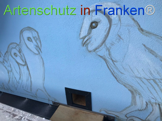 © Artenschutz in Franken® Bild zum Eintrag (1108702-160)