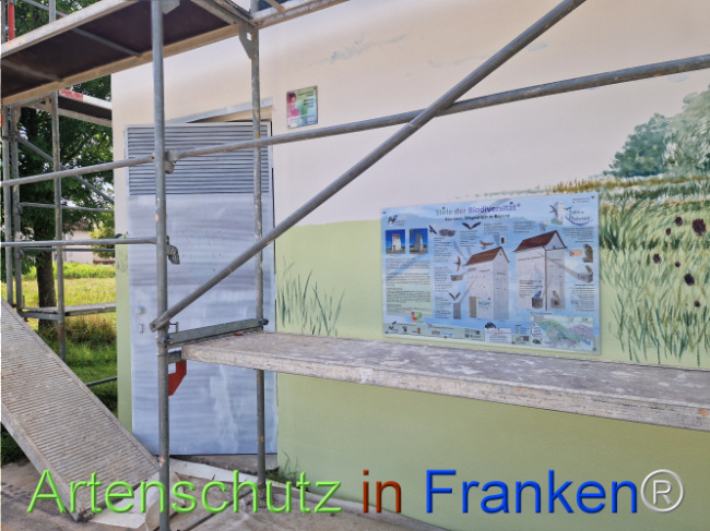 © Artenschutz in Franken® Bild zum Eintrag (1108821-160)
