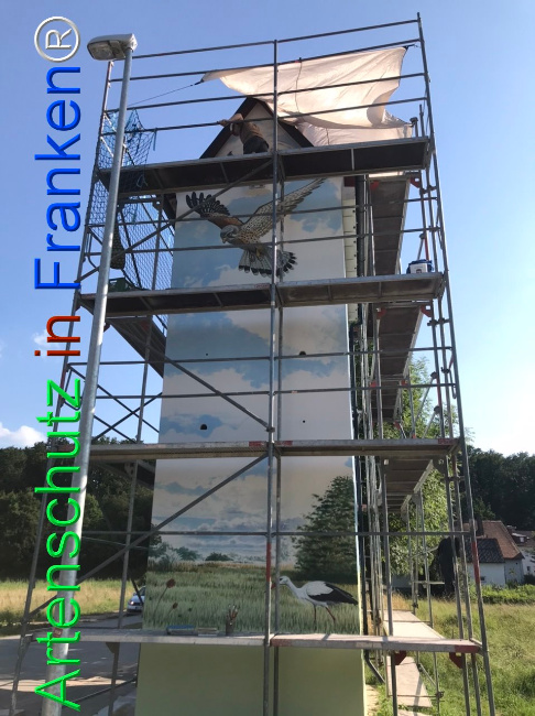 © Artenschutz in Franken® Bild zum Eintrag (1108904-160)