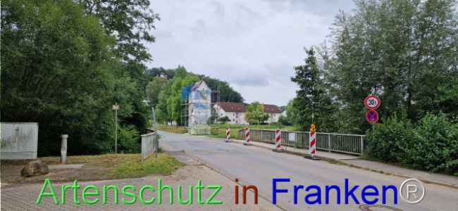 Bild zum Eintrag (1109042-160)