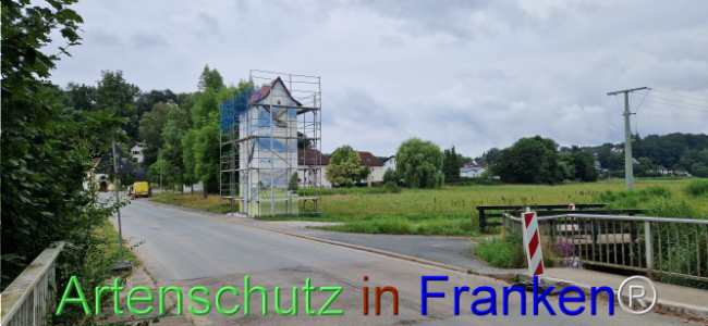 Bild zum Eintrag (1109043-160)