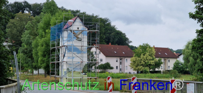 Bild zum Eintrag (1109044-160)