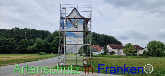 © Artenschutz in Franken® Bild zum Eintrag (1109046-160)
