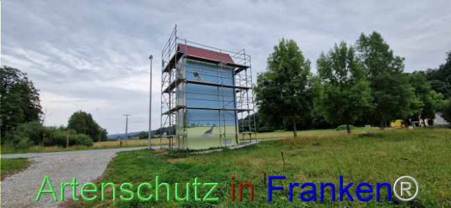 © Artenschutz in Franken® Bild zum Eintrag (1109047-160)