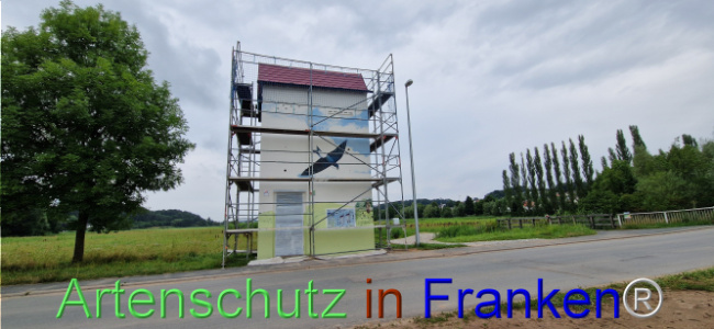 Bild zum Eintrag (1109051-160)