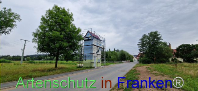 © Artenschutz in Franken® Bild zum Eintrag (1109055-160)