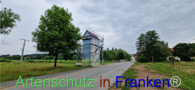 © Artenschutz in Franken® Bild zum Eintrag (1109056-160)