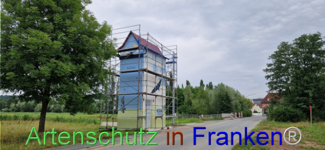 Bild zum Eintrag (1109058-160)