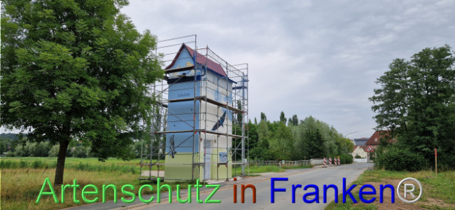 Bild zum Eintrag (1109059-160)