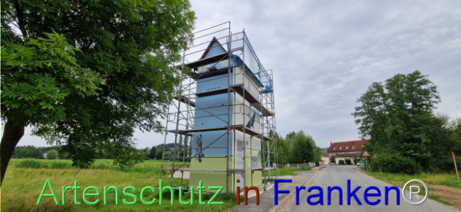 Bild zum Eintrag (1109060-160)