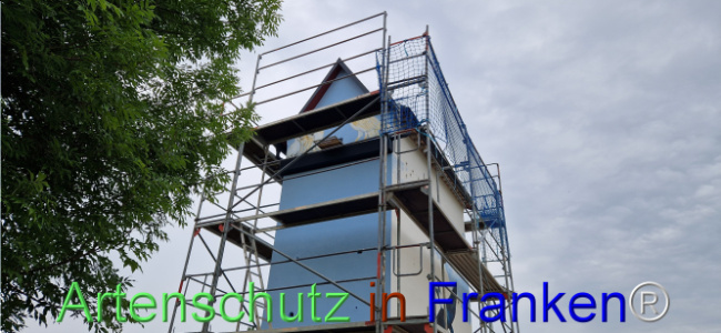 © Artenschutz in Franken® Bild zum Eintrag (1109064-160)