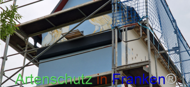 © Artenschutz in Franken® Bild zum Eintrag (1109065-160)