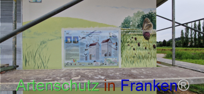 © Artenschutz in Franken® Bild zum Eintrag (1109066-160)