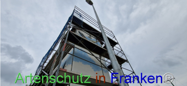 © Artenschutz in Franken® Bild zum Eintrag (1109068-160)