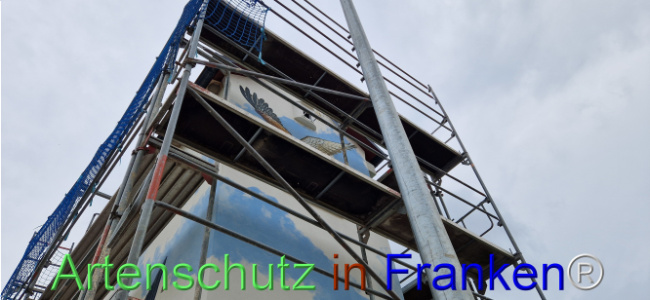 © Artenschutz in Franken® Bild zum Eintrag (1109069-160)