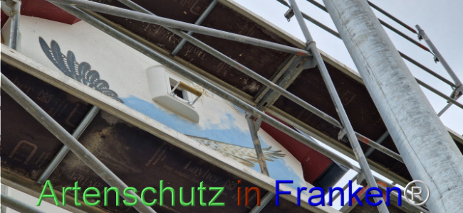 © Artenschutz in Franken® Bild zum Eintrag (1109070-160)