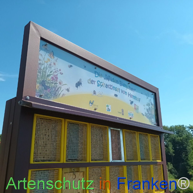 © Artenschutz in Franken® Bild zum Eintrag (1109131-160)