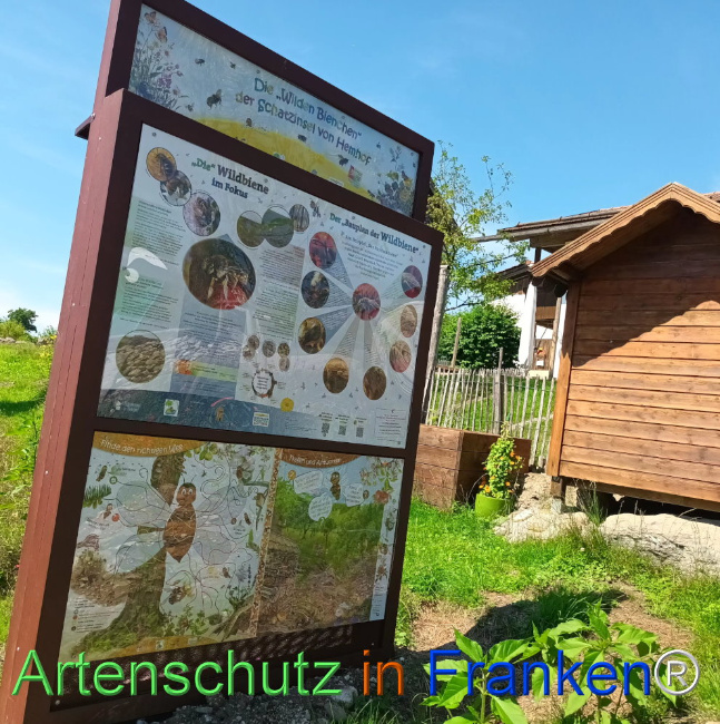 © Artenschutz in Franken® Bild zum Eintrag (1109135-160)