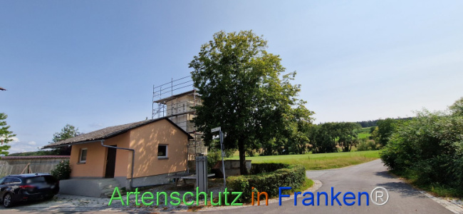 Bild zum Eintrag (1109145-160)