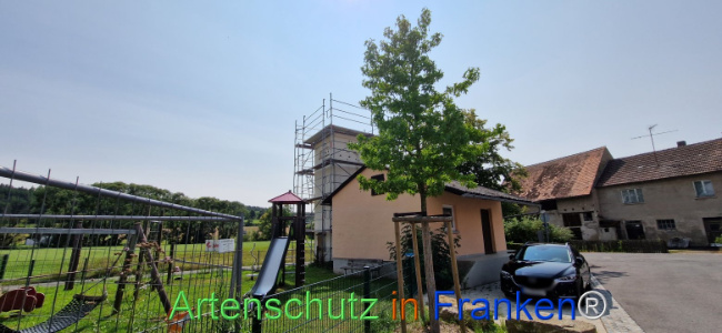 Bild zum Eintrag (1109146-160)