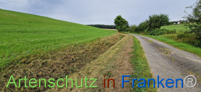 © Artenschutz in Franken® Bild zum Eintrag (1109235-160)