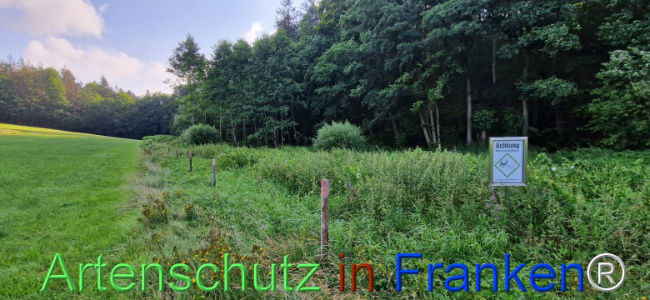 © Artenschutz in Franken® Bild zum Eintrag (1109348-160)