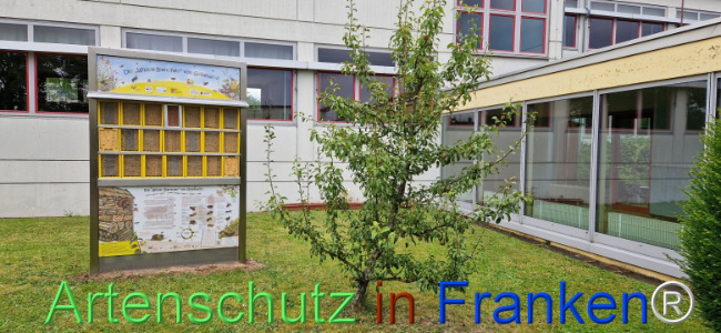 © Artenschutz in Franken® Bild zum Eintrag (1109366-160)