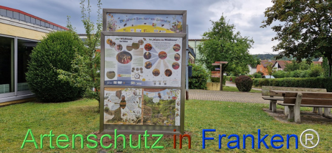 © Artenschutz in Franken® Bild zum Eintrag (1109370-160)
