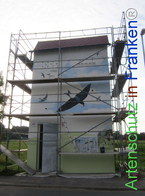 © Artenschutz in Franken® Bild zum Eintrag (1109391-160)