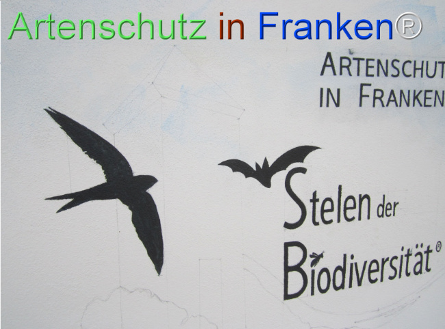 © Artenschutz in Franken® Bild zum Eintrag (1109392-160)