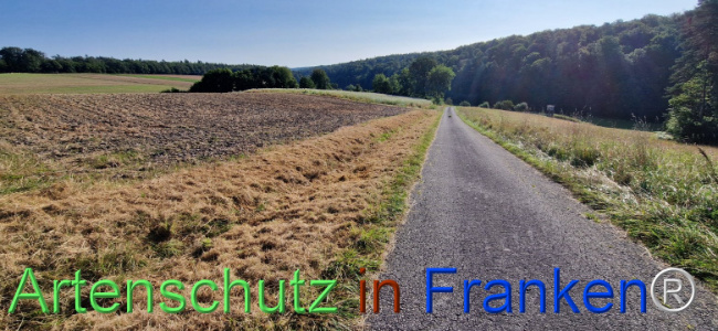 © Artenschutz in Franken® Bild zum Eintrag (1109439-160)