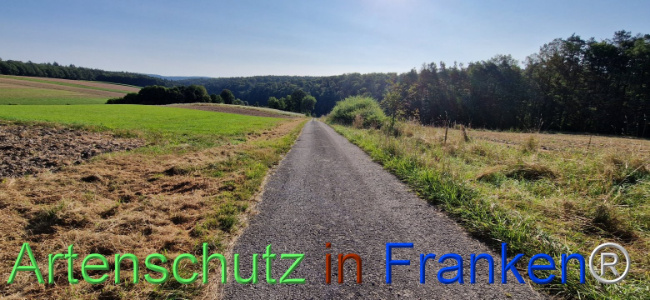 © Artenschutz in Franken® Bild zum Eintrag (1109440-160)