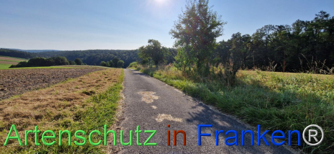 © Artenschutz in Franken® Bild zum Eintrag (1109441-160)