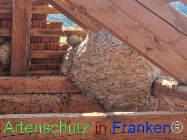 Bild zum Eintrag (1109483-160)