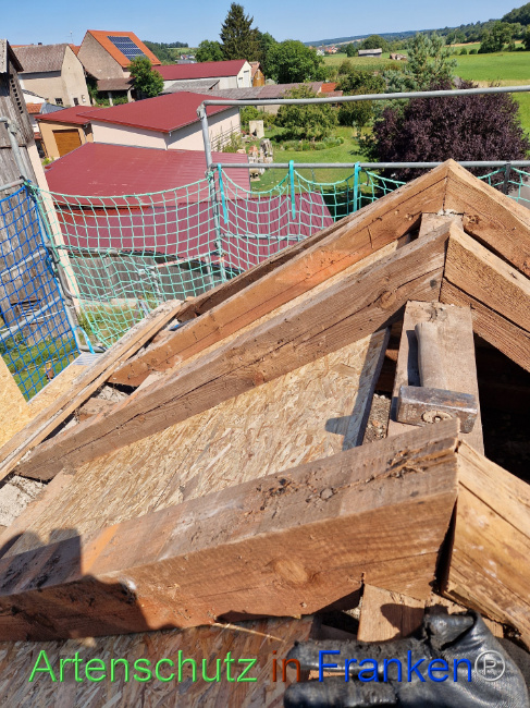 Bild zum Eintrag (1109485-160)