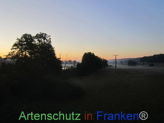Bild zum Eintrag (1109513-160)