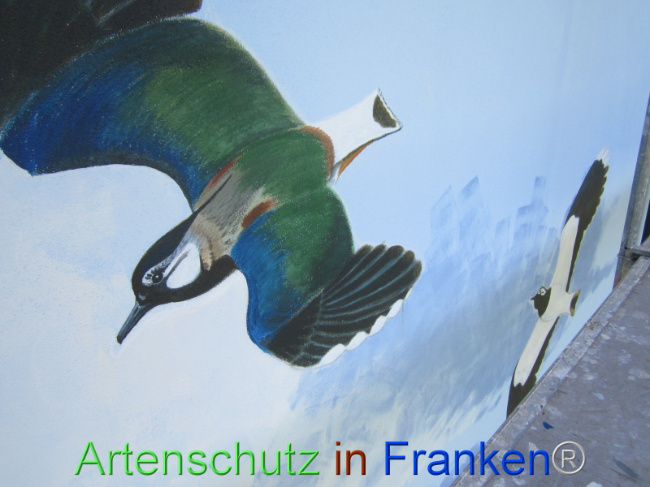 Bild zum Eintrag (1109519-160)