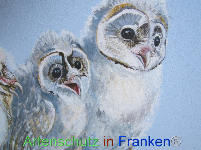 Bild zum Eintrag (1109520-160)