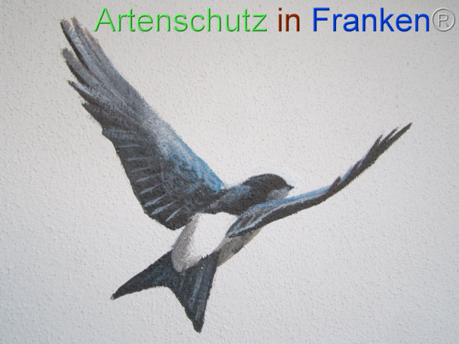 Bild zum Eintrag (1109522-160)