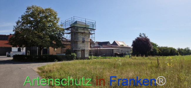 Bild zum Eintrag (1109586-160)