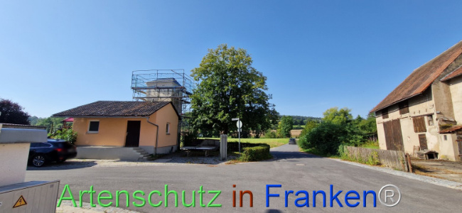 Bild zum Eintrag (1109589-160)
