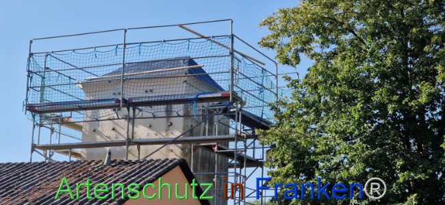 Bild zum Eintrag (1109590-160)