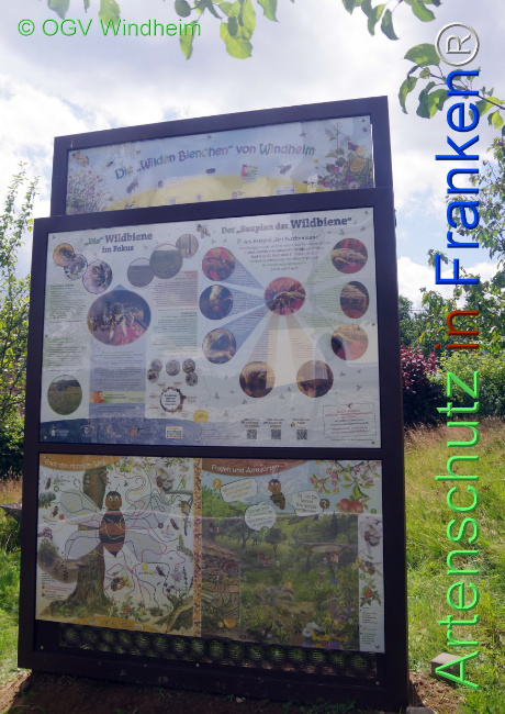 Bild zum Eintrag (1109728-160)