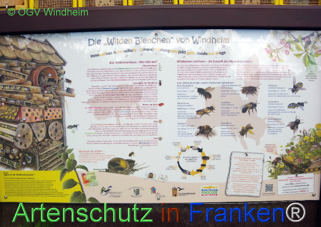 Bild zum Eintrag (1109729-160)
