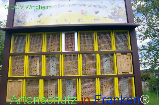 Bild zum Eintrag (1109730-160)
