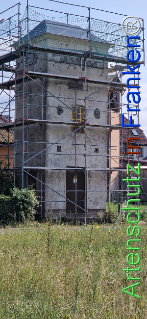 © Artenschutz in Franken® Bild zum Eintrag (1109833-160)